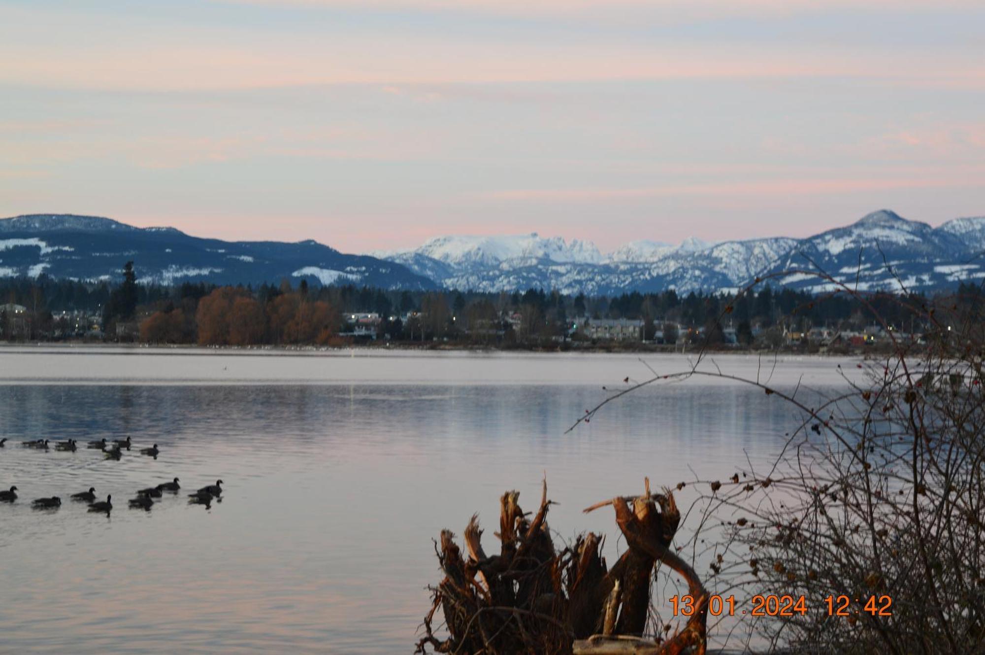 Estuary House Reflexology B&B Courtenay Esterno foto